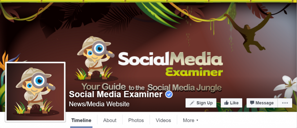Top Facebook Pages: Social Media Examiner